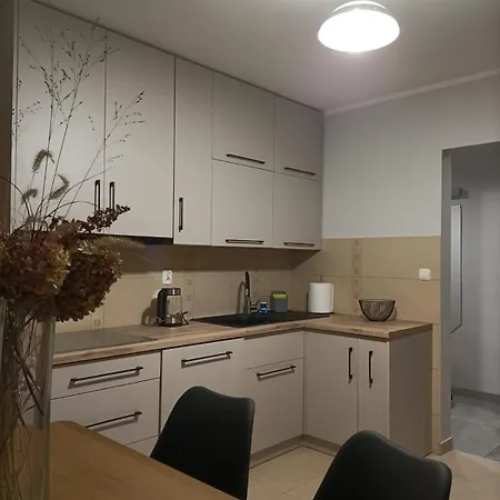 Guest house W Dolinie Drwecy Kurzetnik