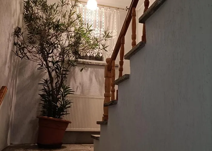 Guest house W Dolinie Drwecy